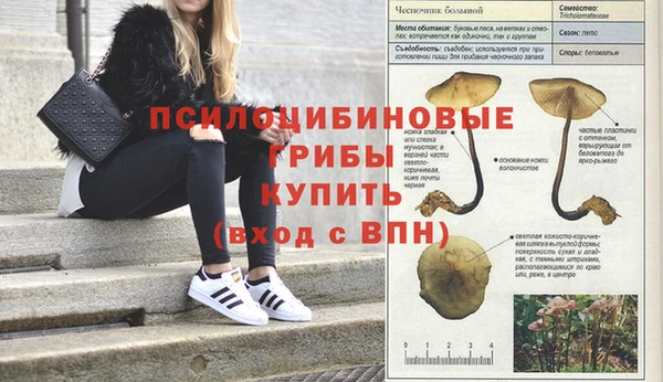 мяу мяу кристалл Елабуга