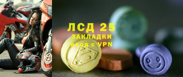 мет Ельня