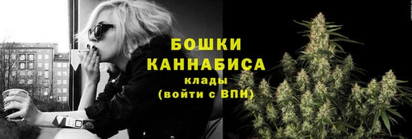 мет Ельня