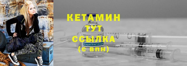мет Ельня