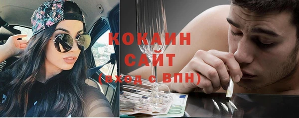 дживик Елизово