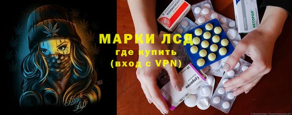 мет Ельня