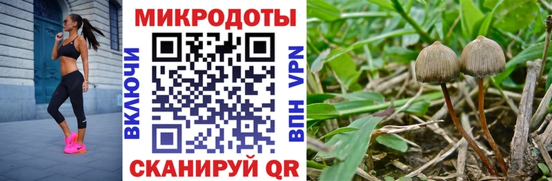 Псилоцибиновые грибы прущие грибы  мега зеркало  Сертолово 